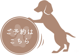 公式 湘南鎌倉クリスタルホテル 愛犬と泊まれるホテル